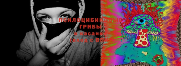 тгк Аркадак
