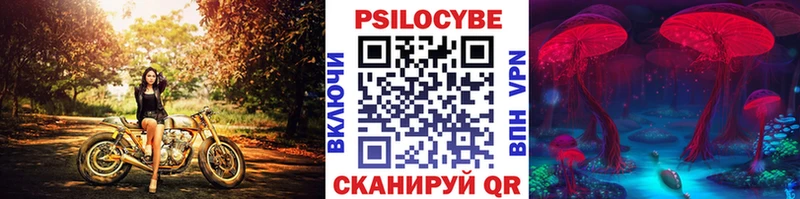 Галлюциногенные грибы мицелий  наркота  Кудрово 